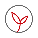 Ecológica